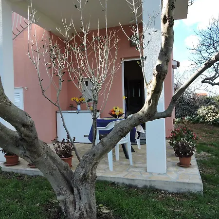 Frakic * Veli Rat